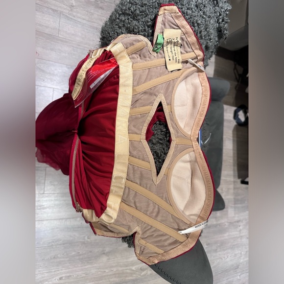 Sold***Maria Lucia Hohan Red Silk Gown - Picture 6 of 6